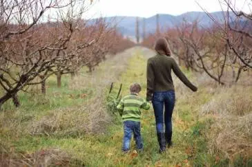 Tips For Filing a Family Law Claim