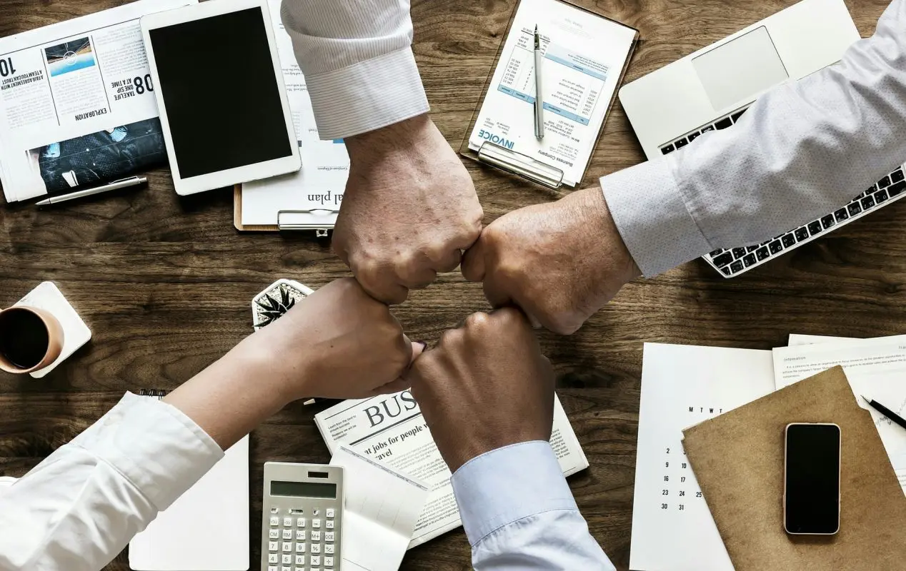Do I Want to Create an LLC or a Corporation?